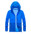 telecom Blue