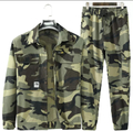 Yellow camouflage